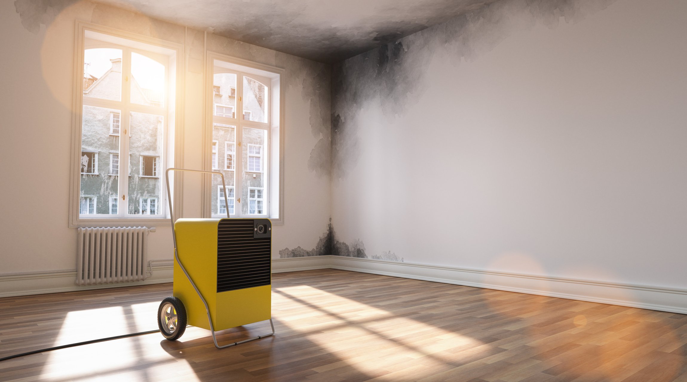 Professional Dehumidifier after Water Damage Standing in a Room